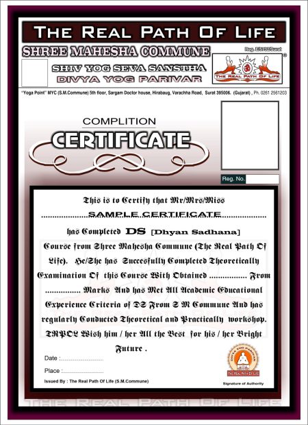 DS certificate